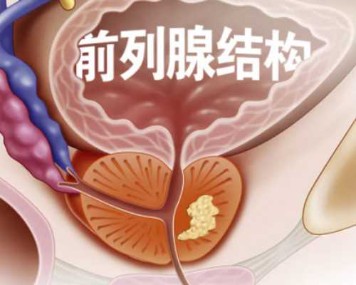 上海助孕机构排名榜最新_上海知名助孕公司