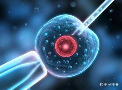 上海想找个助孕女的工作,上海仁济的洪燕医生做试管会亲自移植吗？,上海试管