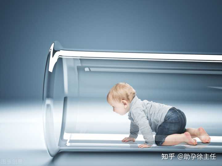 上海供卵包生产厂家,上海有哪些知名度较高的试管助孕公司？?,上海私立的助孕