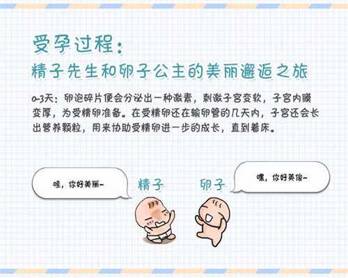 上海代生孩子地址_上海代怀孕_幼童香港便溺争端