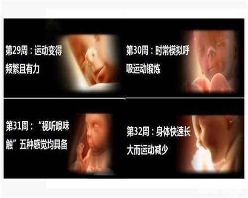 上海代怀宝宝医院:排卵试纸能测出早孕吗？排卵