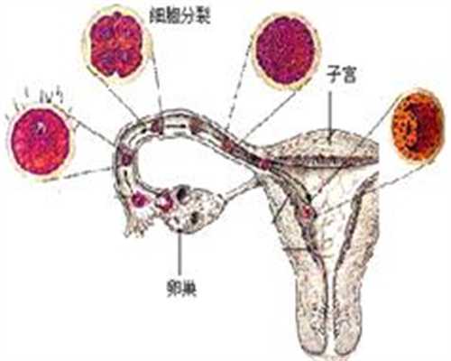 上海代孕医院:孕妇咳嗽严重可以挂水吗