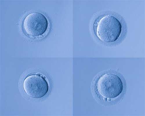 上海代孕产子的流程:上海怎么代生小孩:怀孕期间