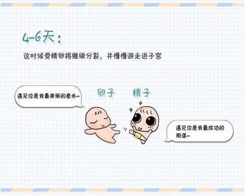 上海代孕产子的流程:上海试管婴儿代孕总费用