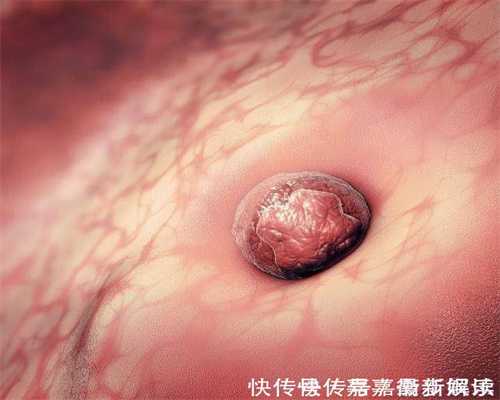 上海专业试管助孕代怀孕:上海代孕产子的流程