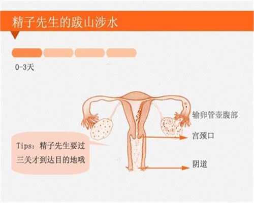 上海代怀孕招聘电话:上海好口碑代怀孕价格表