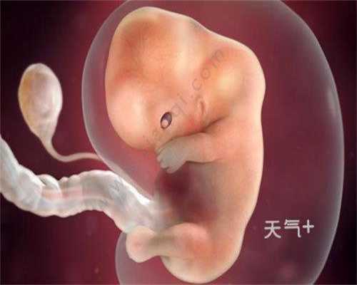 上海代孕主要分布在哪-巨幼细胞性贫血