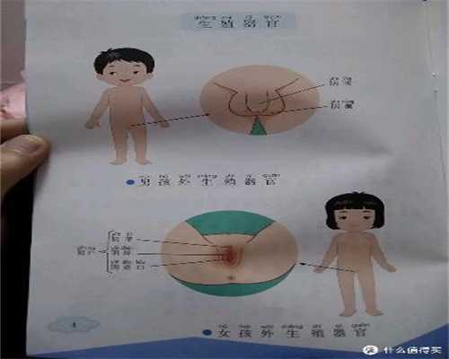 上海代孕最高价150万-孕妇吃人参果要削皮吗