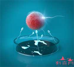 上海有找代孕的么_上海代孕生子基因会改变吗_泰嘉股份是好股吗-补充叶酸注意