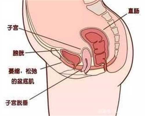 上海供卵试管助孕机构_上海供卵生殖医院_义乌女性不孕请来金华市华山就诊，