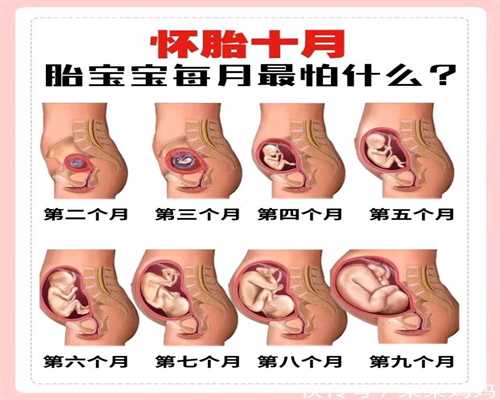 上海金贝供卵医院合法吗_上海专业供卵试管婴儿_医生患者问题交流汇总