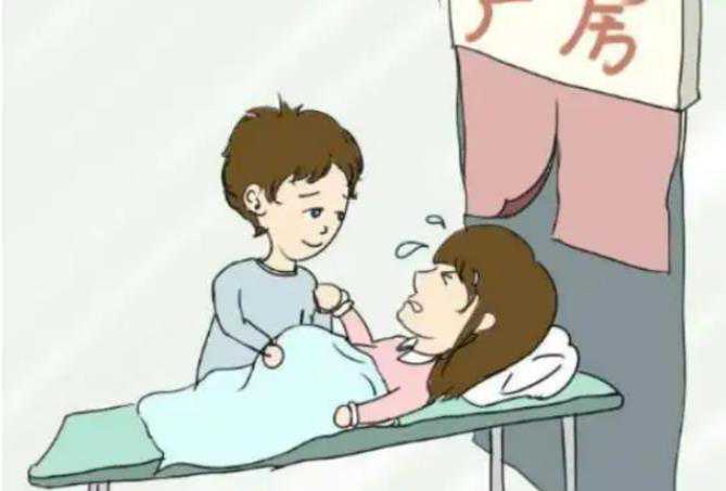 2023上海私立供卵机构排名新鲜出炉,2023上海仁济医院借卵做试管婴儿费用解读