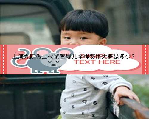 <b>上海九院做二代试管婴儿全程费用大概是多少？</b>